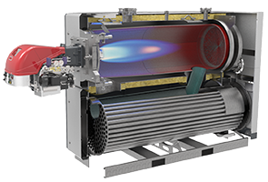 Riello Boiler
